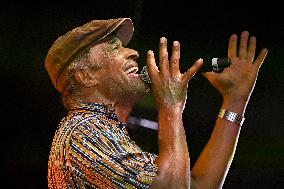 Yannick Noah Concert - Strasbourg