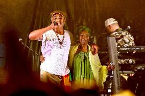 Yannick Noah Concert - Strasbourg