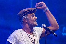 Yannick Noah Concert - Strasbourg