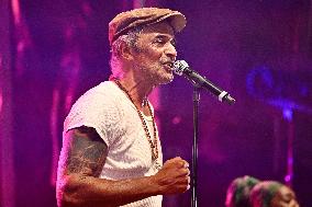 Yannick Noah Concert - Strasbourg