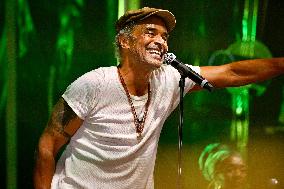 Yannick Noah Concert - Strasbourg