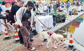 Guide Dog Public Welfare Experience Activity in Shanghai