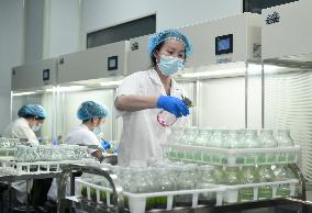 Technological Seedling Cultivation