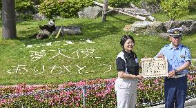 Giant panda at western Japan zoo