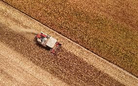 Winter Wheat Harvest
 in Pingdingshan