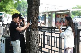 China Network Anchor Industry