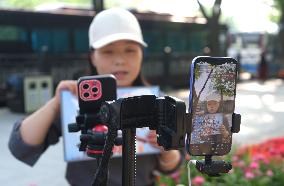 China Network Anchor Industry