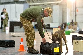 Ukraines largest dog training competition held under auspices of DIU