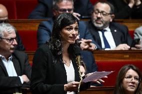 Questions to the government at the National Assembly in Paris FA