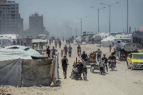 Gaza Seaport Becomes Displacement Shelter - Palestine