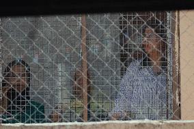 Israeli Forces Raid Refugee Camp - Nablus
