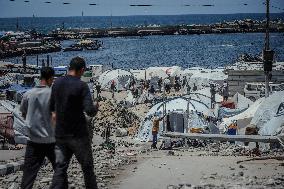 Gaza Seaport Becomes Displacement Shelter - Palestine