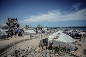 Gaza Seaport Becomes Displacement Shelter - Palestine