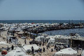 Gaza Seaport Becomes Displacement Shelter - Palestine