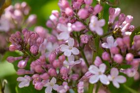 Signs of spring