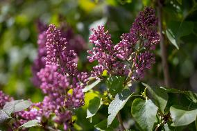 Signs of spring