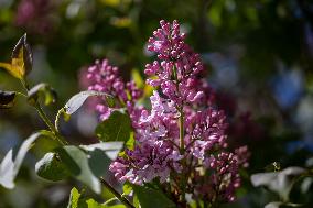 Signs of spring