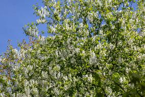 Signs of spring