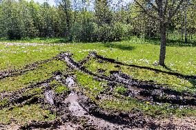 Damages caused by the EDFÂ´s exercise
