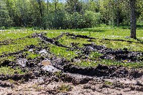 Damages caused by the EDFÂ´s exercise