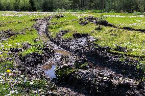 Damages caused by the EDFÂ´s exercise
