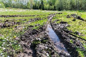 Damages caused by the EDFÂ´s exercise