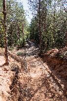 Damages caused by the EDFÂ´s exercise