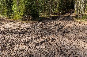 Damages caused by the EDFÂ´s exercise