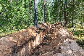 Damages caused by the EDFÂ´s exercise