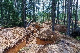 Damages caused by the EDFÂ´s exercise