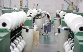 Cotton Processing in Binzhou