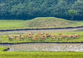 International Day for Biological Diversity