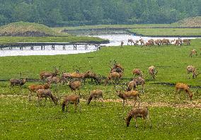 International Day for Biological Diversity