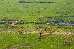 International Day for Biological Diversity