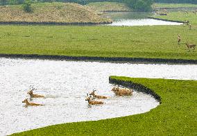 International Day for Biological Diversity