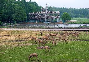 International Day for Biological Diversity
