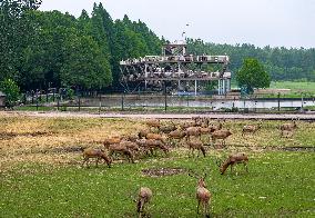 International Day for Biological Diversity
