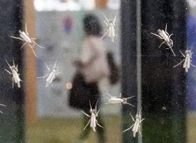 World Exposition in Osaka hit by swarms of bugs
