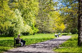Nature in spring