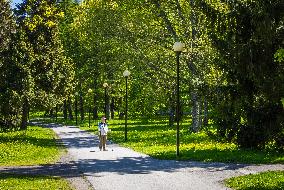 Nature in spring