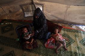 Gaza Seaport Becomes Displacement Shelter