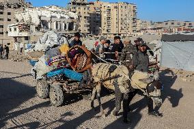 Gaza Seaport Becomes Displacement Shelter