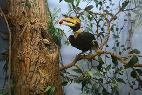 Museum Complex of Karazin Kharkiv National University