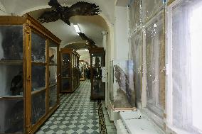 Museum Complex of Karazin Kharkiv National University