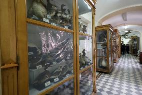 Museum Complex of Karazin Kharkiv National University