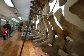 Museum Complex of Karazin Kharkiv National University