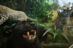 Museum Complex of Karazin Kharkiv National University