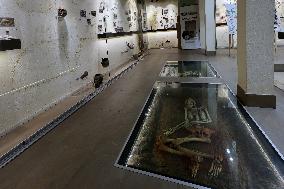 Museum Complex of Karazin Kharkiv National University