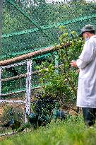 Green Peafowl Nature Reserve - China