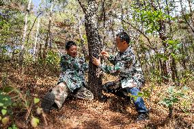Green Peafowl Nature Reserve - China